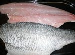 BARRAMUNDI  PORTION CUT / FILLETS