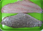 GROUPER PORTIONS/FILLETS